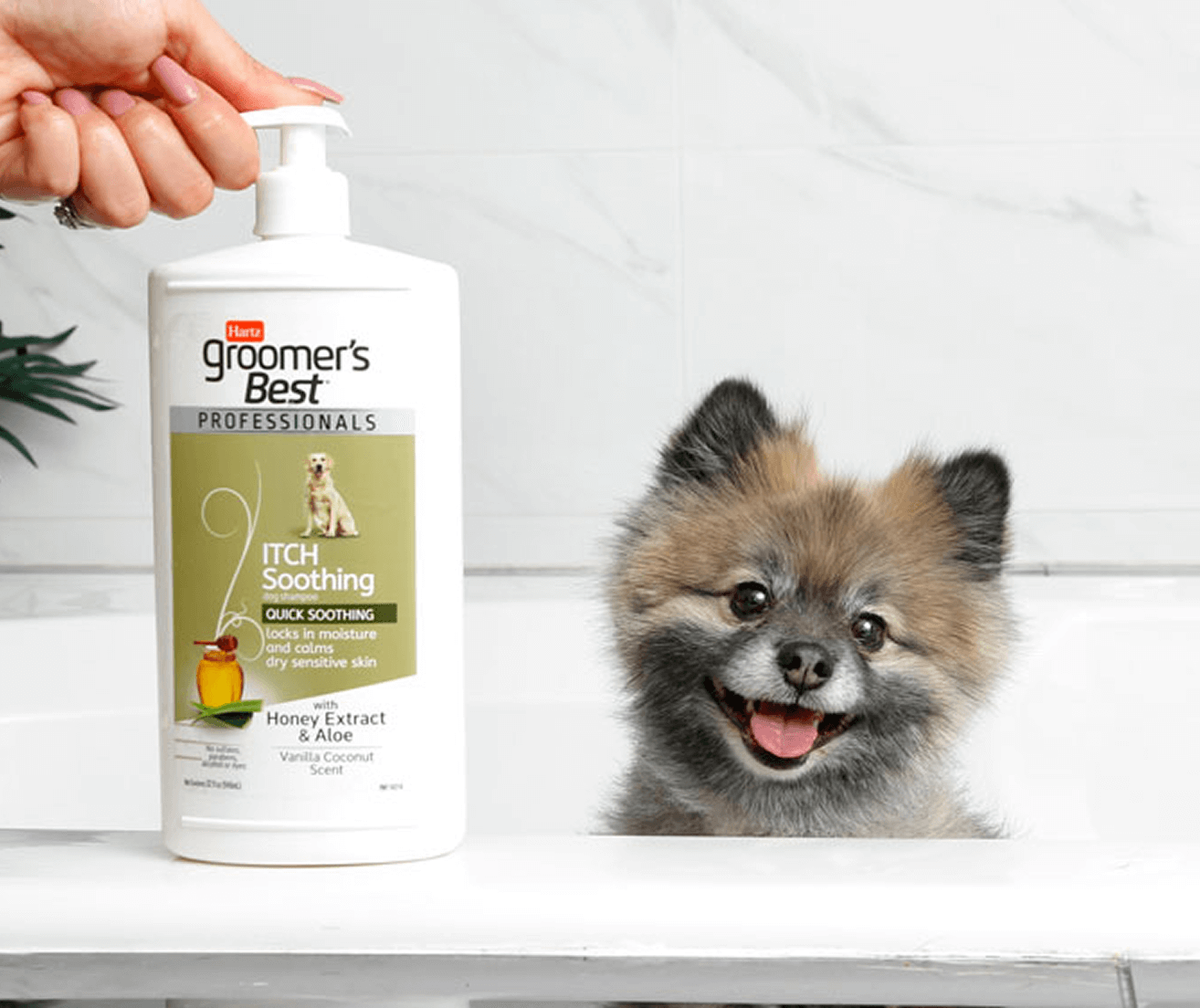 Groomer's best