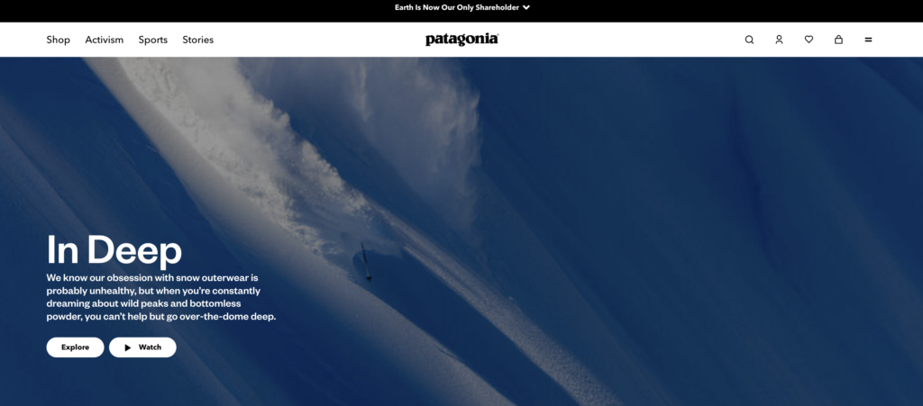 3. Donation Matching Campaigns with patagonia